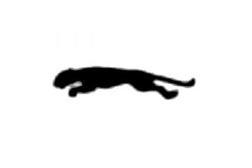 1968 to 1970 Puma logo