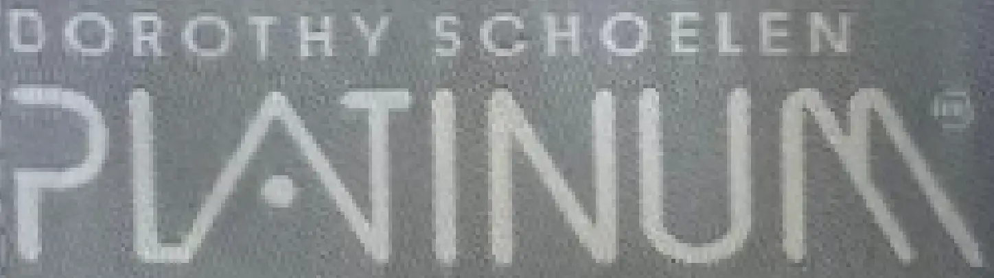 1980s to 1990s Dorothy Schoelen logo