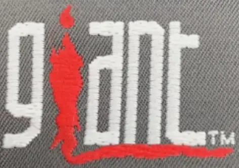 1990s to 2000s Giant logo